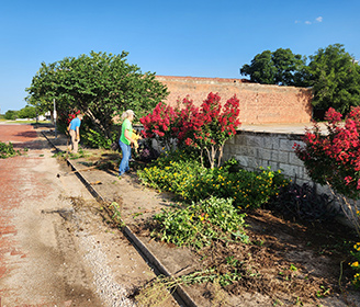 Flowerbed Clean Up
