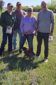 Wildflower Group