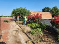 Flower beds