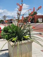 Planter