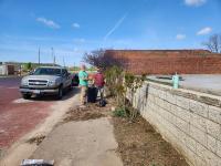 Flower beds during beautification