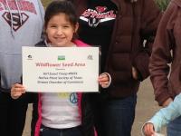 ksb_Girl_Scout_Wildflower_Project__nov_2013_1_w