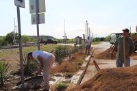 ksb_Main_St_Landscaping_April_2013_2_w