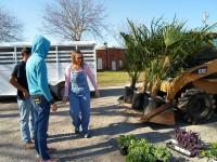 ksb_Moving_Planters_2_Tx_Trash_Off_April_2013_w