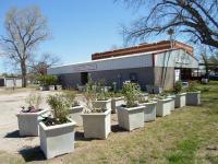 ksb_Planters_3_Tx_Trash_Off_April_2013_w