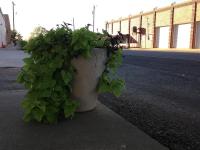 ksb_planters_0189_w