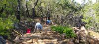 Trail-repair